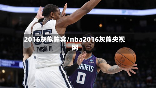 2016灰熊阵容/nba2016灰熊央视网-第3张图片