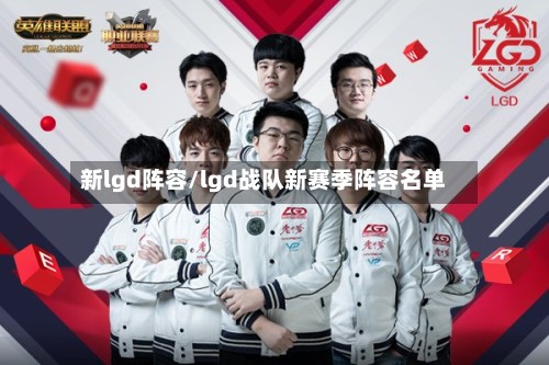 新lgd阵容/lgd战队新赛季阵容名单