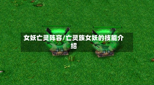 女妖亡灵阵容/亡灵族女妖的技能介绍
