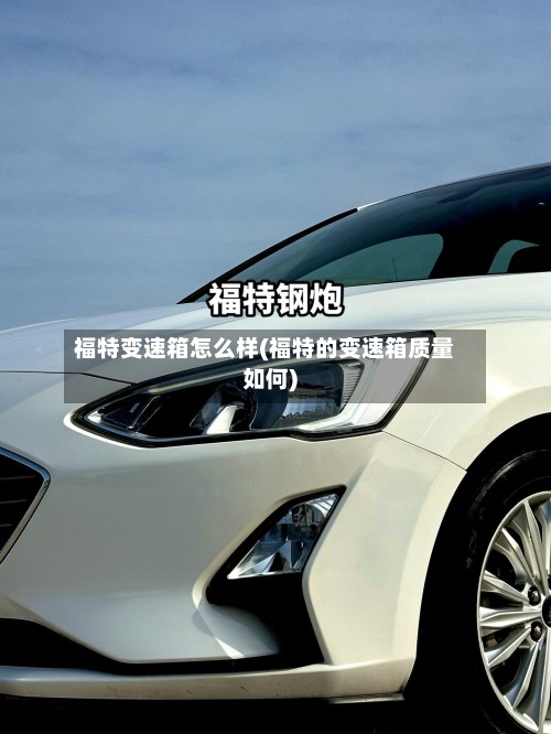 福特变速箱怎么样(福特的变速箱质量如何)