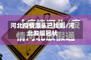 河北疫情源头已找到/河北发现冠状