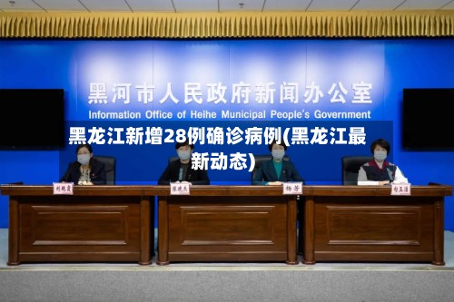 黑龙江新增28例确诊病例(黑龙江最新动态)-第2张图片