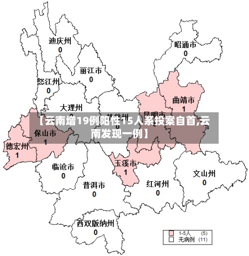 【云南增19例阳性15人系投案自首,云南发现一例】-第3张图片