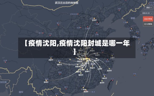 【疫情沈阳,疫情沈阳封城是哪一年】-第2张图片