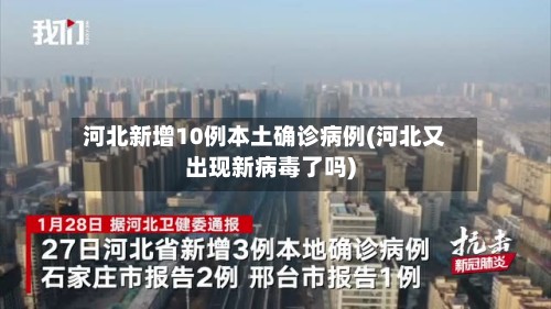 河北新增10例本土确诊病例(河北又出现新病毒了吗)-第2张图片