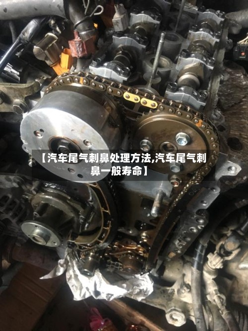 【汽车尾气刺鼻处理方法,汽车尾气刺鼻一般寿命】-第2张图片