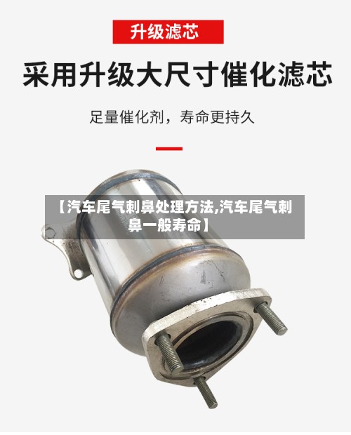 【汽车尾气刺鼻处理方法,汽车尾气刺鼻一般寿命】-第3张图片