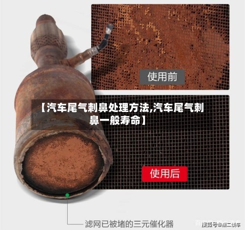 【汽车尾气刺鼻处理方法,汽车尾气刺鼻一般寿命】