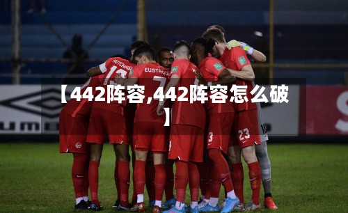 【442阵容,442阵容怎么破】