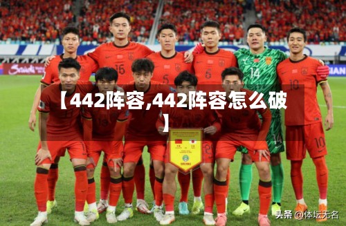 【442阵容,442阵容怎么破】-第3张图片