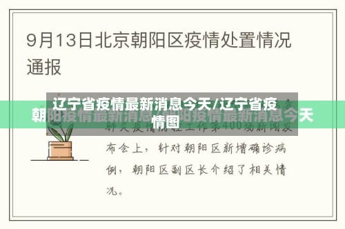 辽宁省疫情最新消息今天/辽宁省疫情图