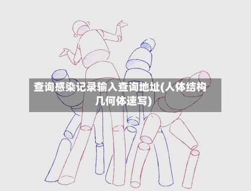 查询感染记录输入查询地址(人体结构几何体速写)-第1张图片