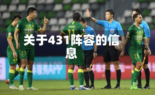 关于431阵容的信息