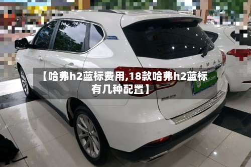 【哈弗h2蓝标费用,18款哈弗h2蓝标有几种配置】