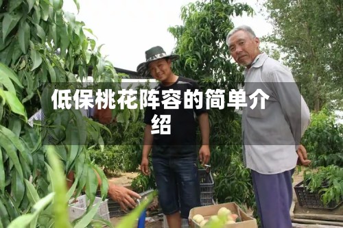 低保桃花阵容的简单介绍-第2张图片