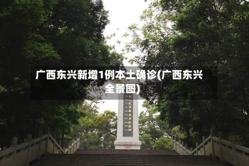 广西东兴新增1例本土确诊(广西东兴全景图)-第2张图片