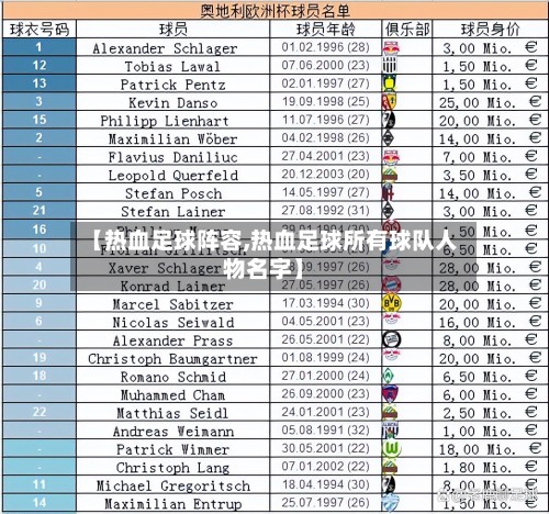 【热血足球阵容,热血足球所有球队人物名字】-第3张图片
