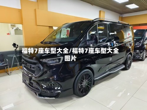 福特7座车型大全/福特7座车型大全图片-第2张图片